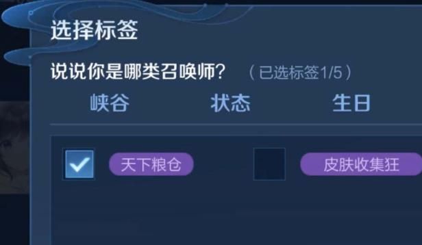 王者荣耀天下粮仓标签介绍