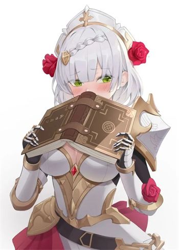原神诺艾尔用什么武器比较好