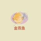 桃源深处有人家金燕歌喜好介绍