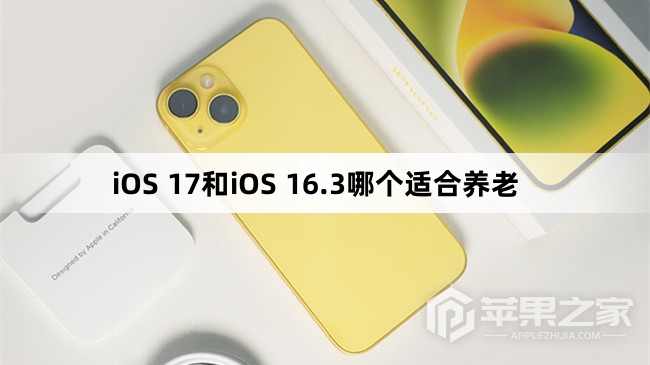 iOS 17和iOS 16.3哪个适合比较养老