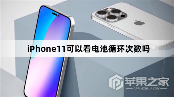 iPhone11可以看电池循环次数吗