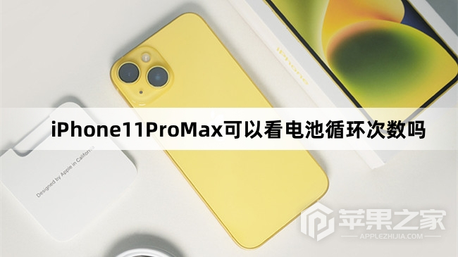 iPhone11ProMax能看电池循环次数吗