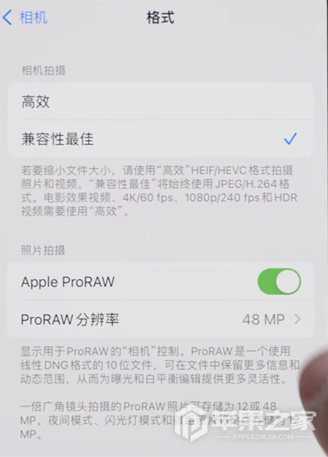 iPhone 15 Pro相机设置ProRAW功能教程