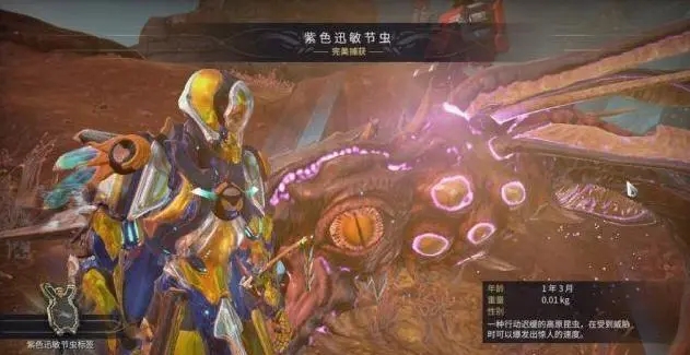 星际战甲龙王全套哪里刷