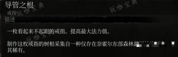 《堕落之主》导管之根介绍