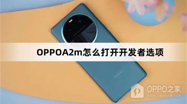 OPPOA2m如何打开开发者选项