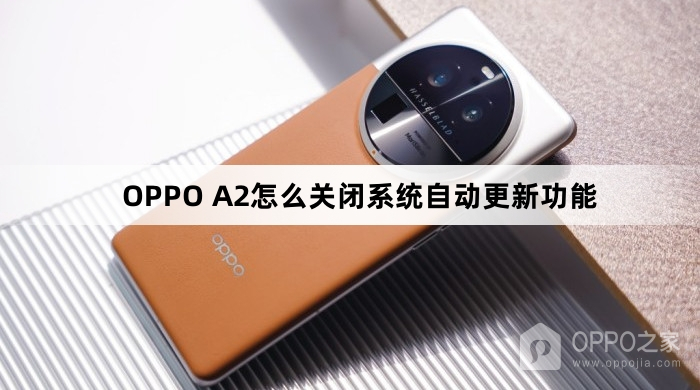 OPPO A2如何关闭系统自动更新功能