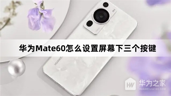 华为Mate60如何设置屏幕下三个按键