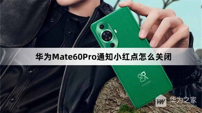 华为Mate60Pro通知小红点怎么关闭