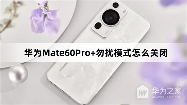 华为Mate60Pro+勿扰模式怎么关闭