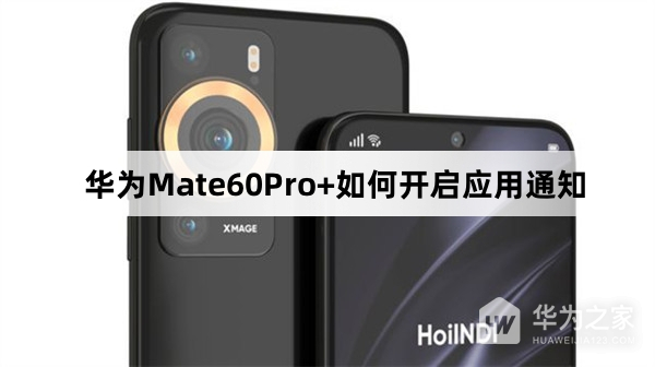 华为Mate60Pro+怎么开启应用通知