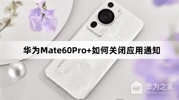 华为Mate60Pro+怎么关闭应用通知