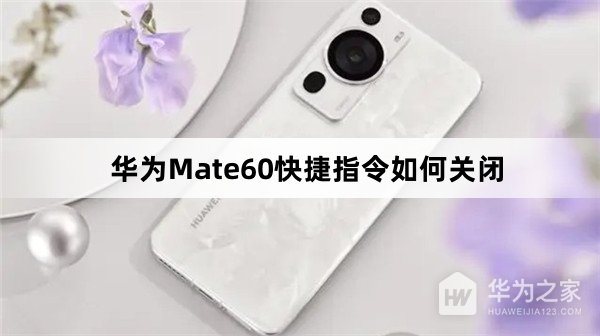 华为Mate60快捷指令怎么关闭