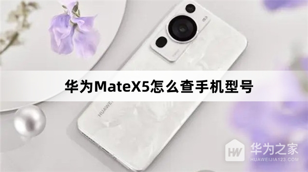 华为MateX5怎么查手机型号