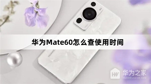 华为Mate60查使用时间教程