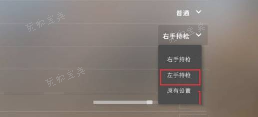 《csgo》左手持枪设置攻略图6