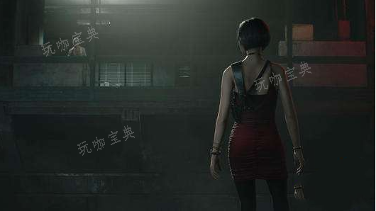 《生化危机2重制版》艾达王情感经历介绍