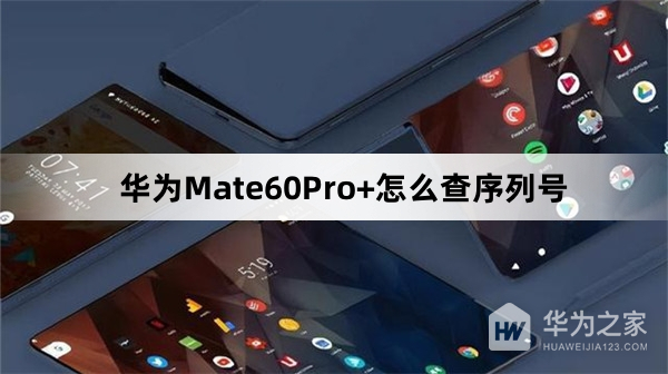 华为Mate60Pro+如何查序列号