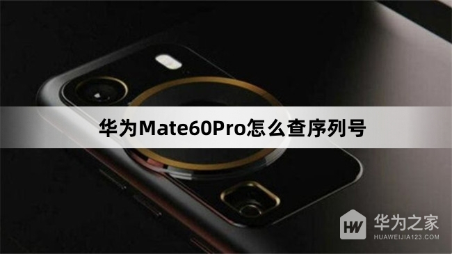 华为Mate60Pro如何查序列号