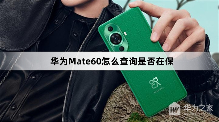 华为Mate60如何查询是否在保