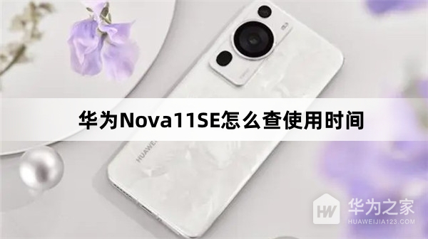 华为Nova11SE如何查使用时间