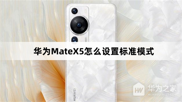 华为MateX5如何设置标准模式