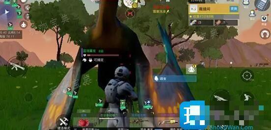《我们的星球》宠物抓捕方法