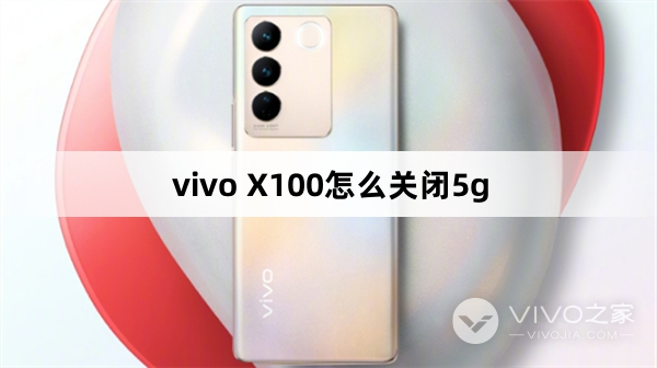 vivo X100怎么关闭5g