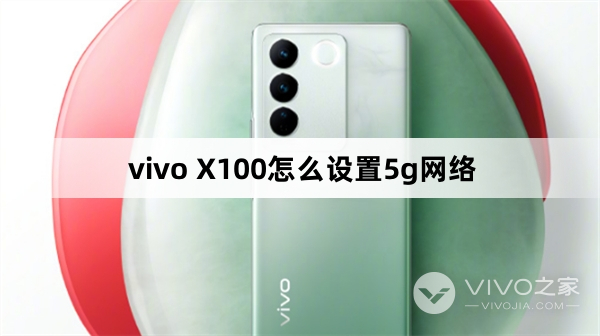 vivo X100怎么设置5g网络