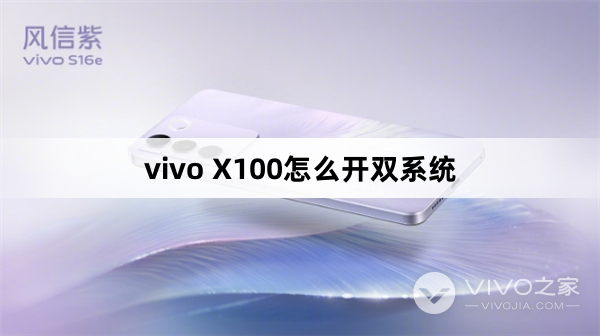 vivo X100怎么开双系统