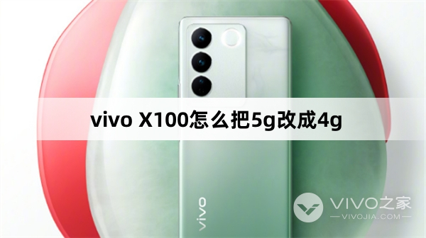 vivo X100怎么把5g改成4g