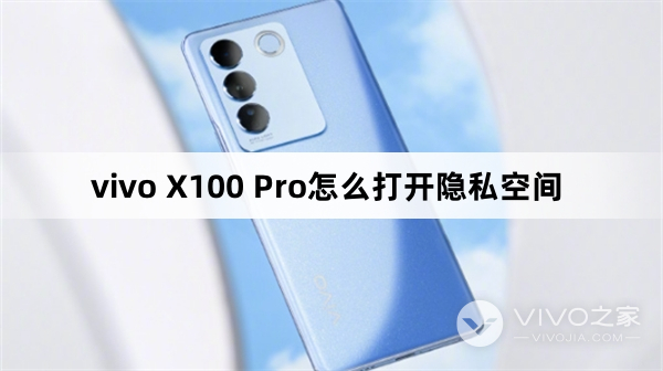 vivo X100 Pro怎么打开隐私空间