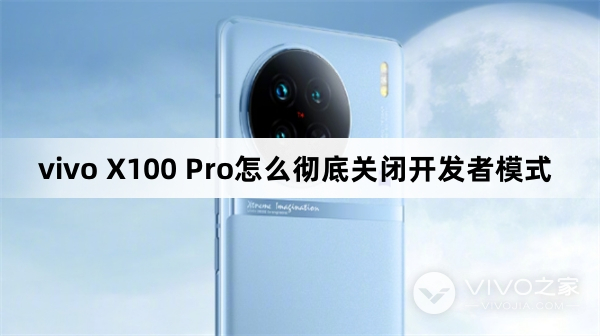 vivo X100 Pro怎么彻底关闭开发者模式