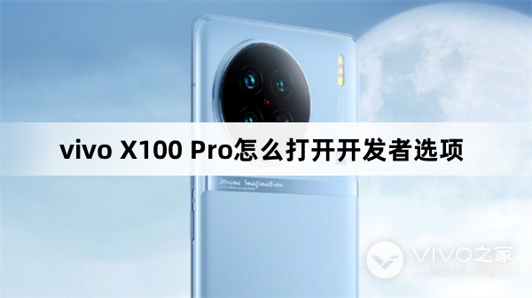 vivo X100 Pro怎么打开开发者选项