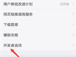 vivo X100 Pro怎么打开开发者选项