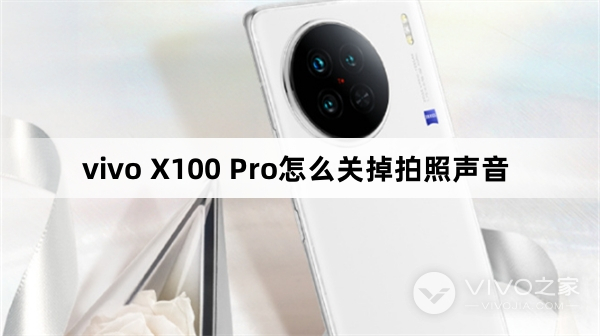 vivo X100 Pro怎么关掉拍照声音