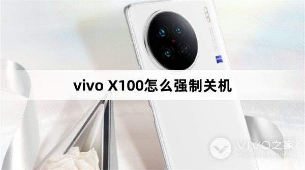 vivo X100怎么强制关机