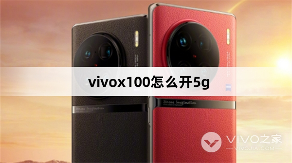 vivox100如何开5g