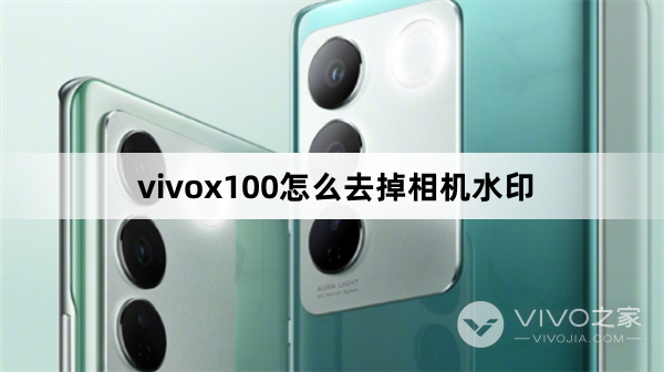 vivox100如何去掉相机水印