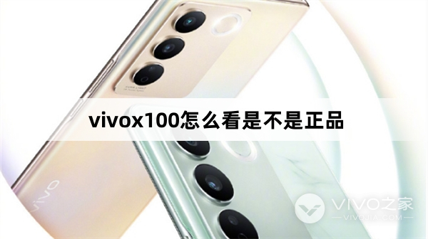 vivox100如何看是不是正品