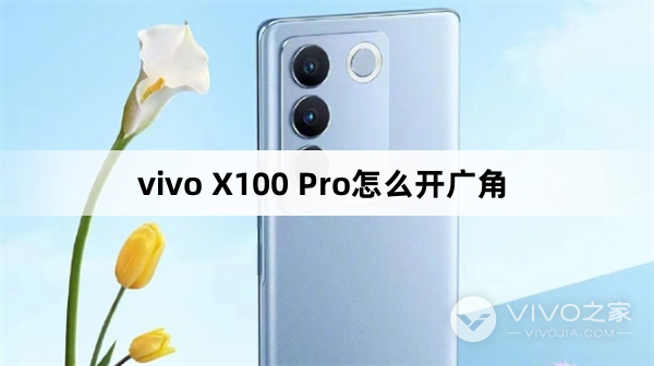 vivo X100 Pro如何开广角