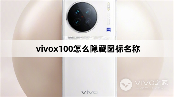 vivox100如何隐藏图标名称