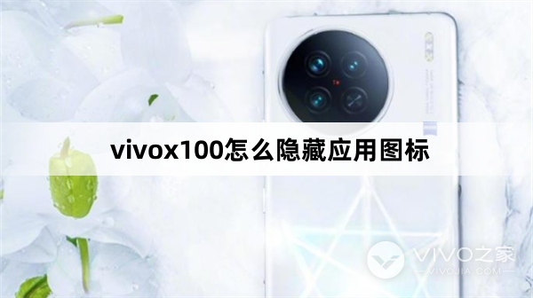 vivox100如何隐藏应用图标