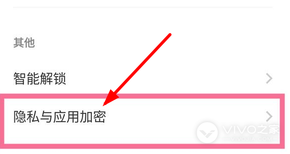 vivox100如何隐藏应用图标