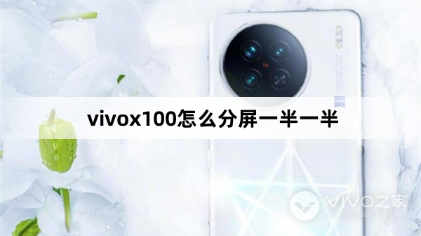 vivox100如何分屏一半一半