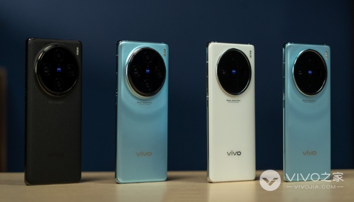 vivoX100有哪些版本