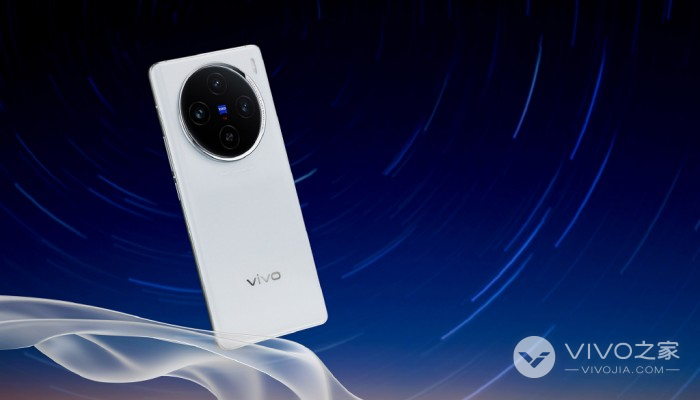 vivoX100是不是双芯电池