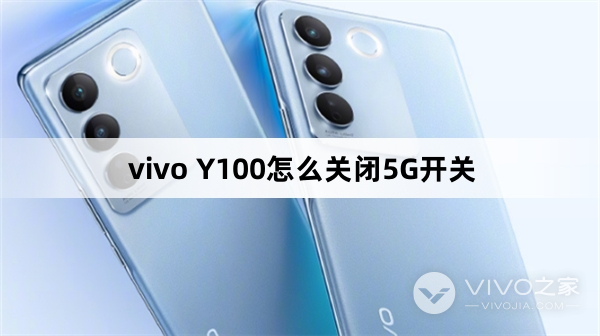 vivo Y100如何关闭5G开关