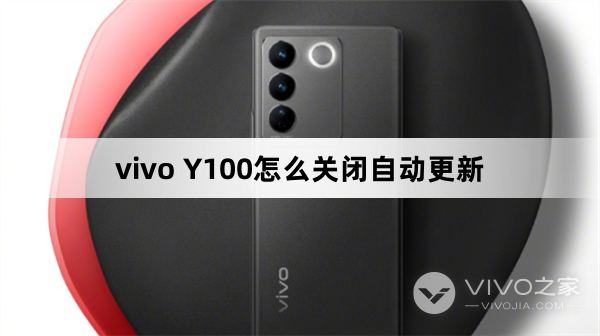 vivo Y100如何关闭自动更新