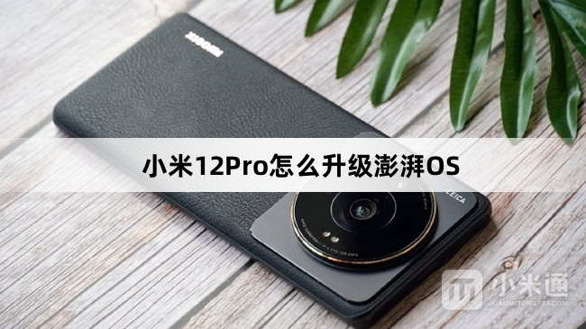 小米12Pro如何升级澎湃OS